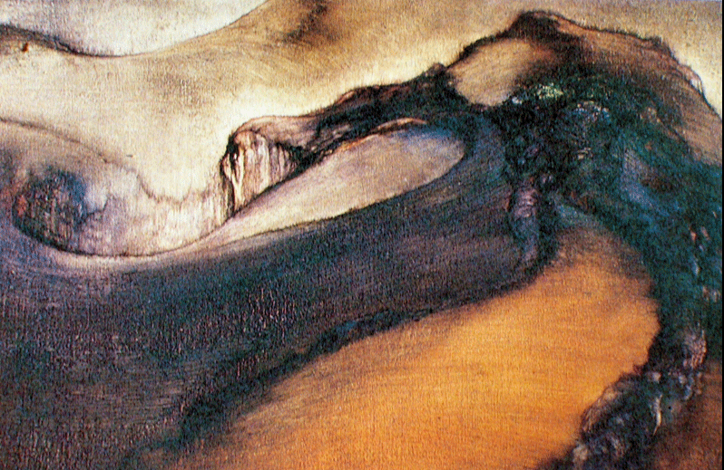 paysage2_GillesMurique
