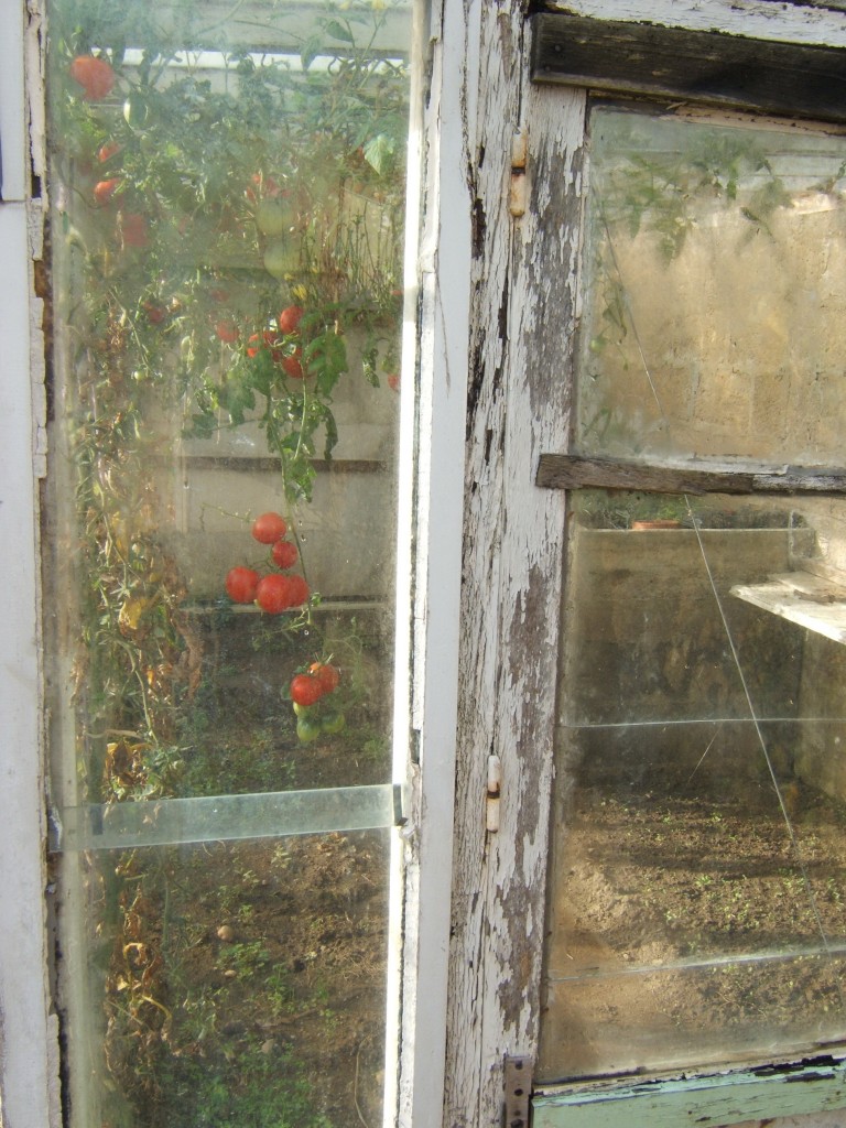 la serre de mon père