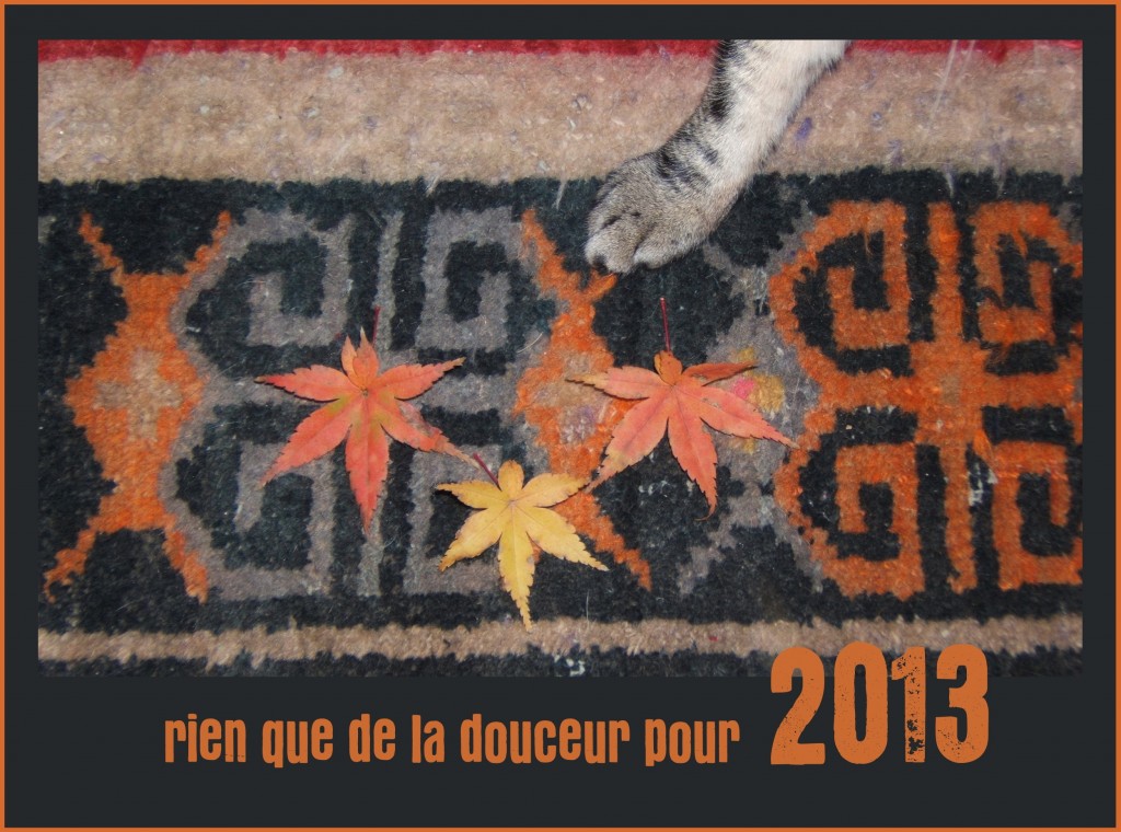 Photographie, Françoise Renaud, décembre 2012