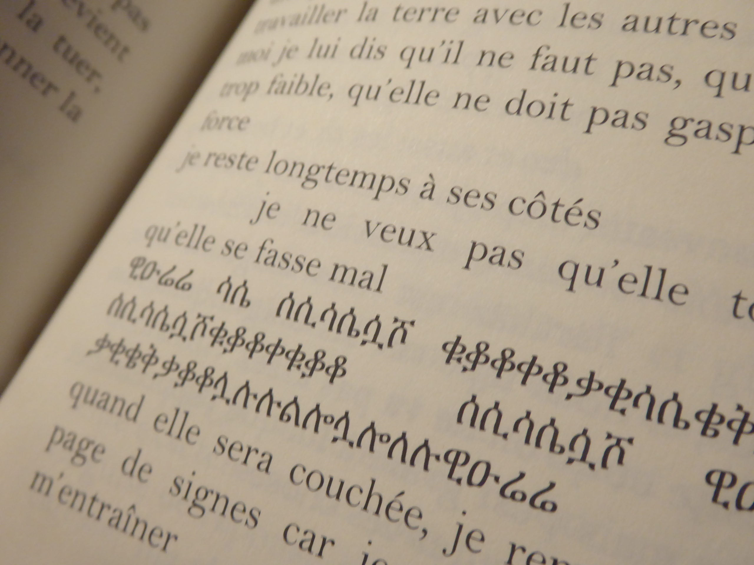 Lire la suite à propos de l’article nouvelle parution – ‘Bois d’azobé’ (récit, collection Petites Proses, déc 2021)