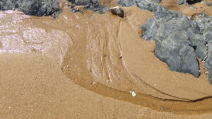 Lire la suite à propos de l’article « l’eau retirée loin » | un texte publié dans EN CHANSONS, le nouveau carnet de création de VILLES EN VOIX | 28 mai 2024