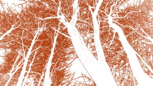 Lire la suite à propos de l’article Journal LA MONTAGNE | Merci à Sarah Q. pour son article du 4 août 2025 sur ma présence au salon de Mortroux