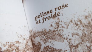 Lire la suite à propos de l’article RENCONTRE LECTURE autour de CARNET DE MURMURES | auditorium de la médiathèque du Grand Guéret | 14 novembre 2025