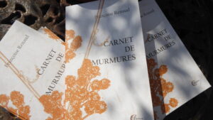 Lire la suite à propos de l’article RENCONTRE LECTURE autour de CARNET DE MURMURES | auditorium de la médiathèque du Grand Guéret | 14 novembre 2025