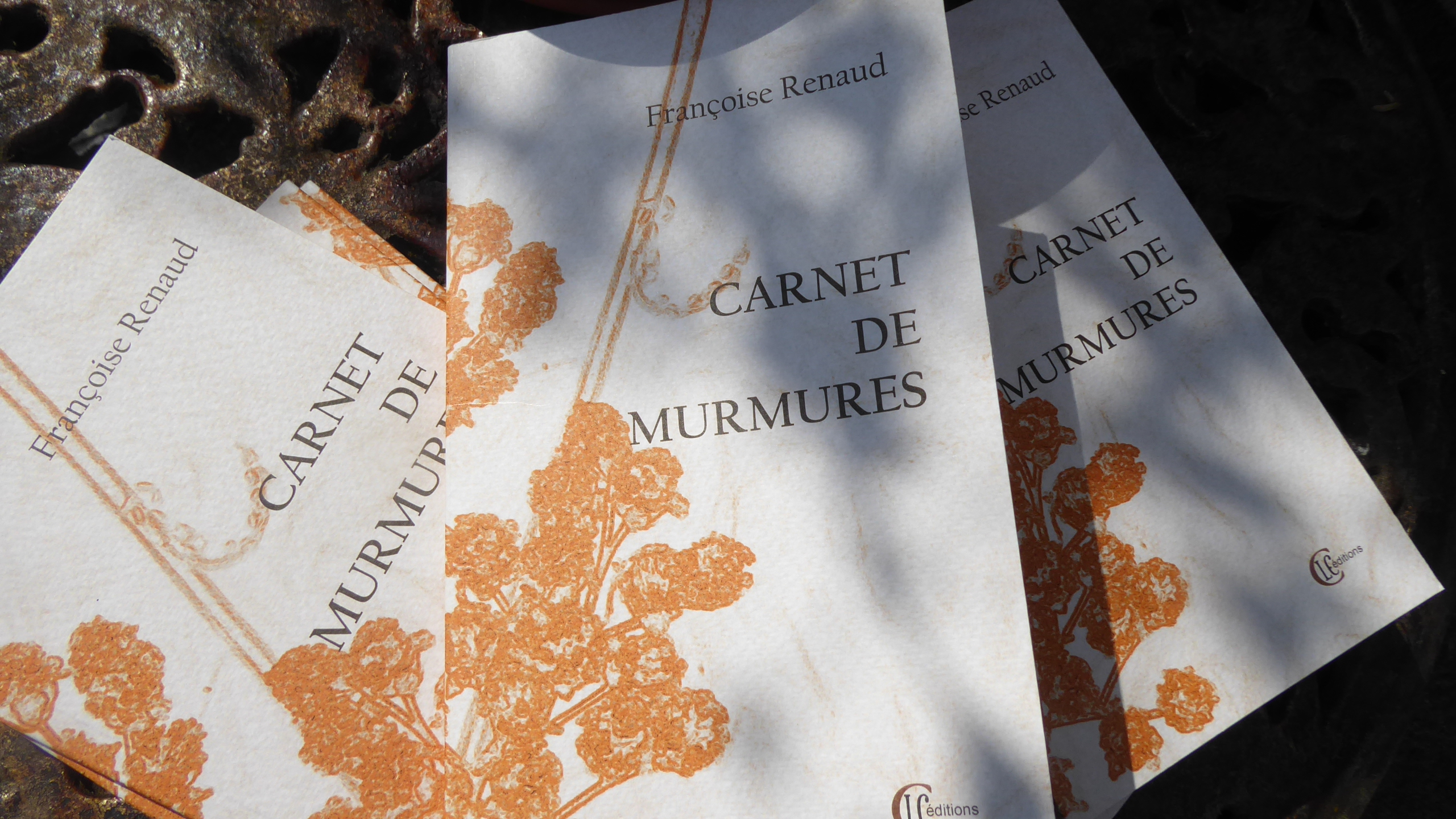 You are currently viewing RENCONTRE LECTURE autour de CARNET DE MURMURES | auditorium de la médiathèque du Grand Guéret | 14 novembre 2025