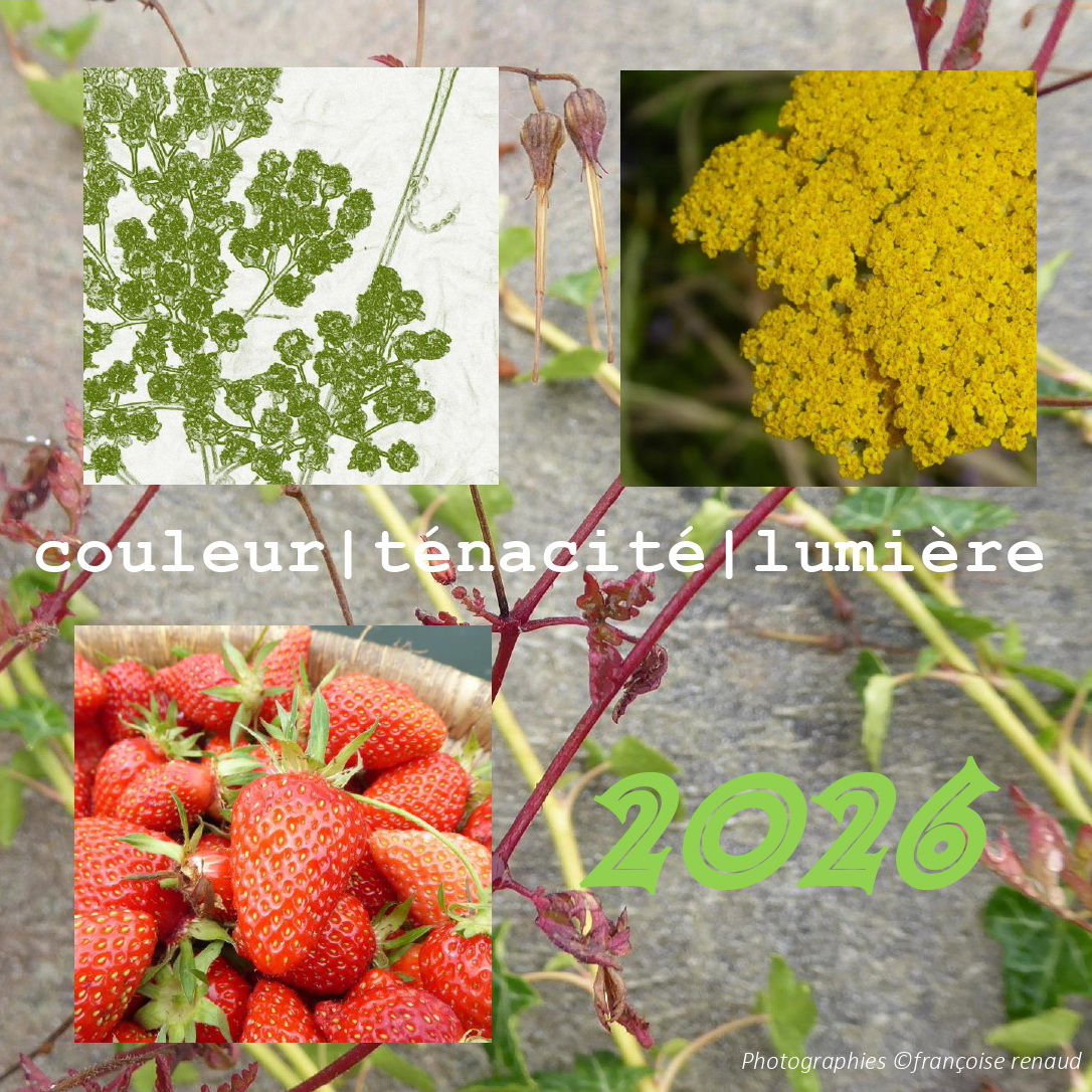 You are currently viewing mes vœux pour 2026