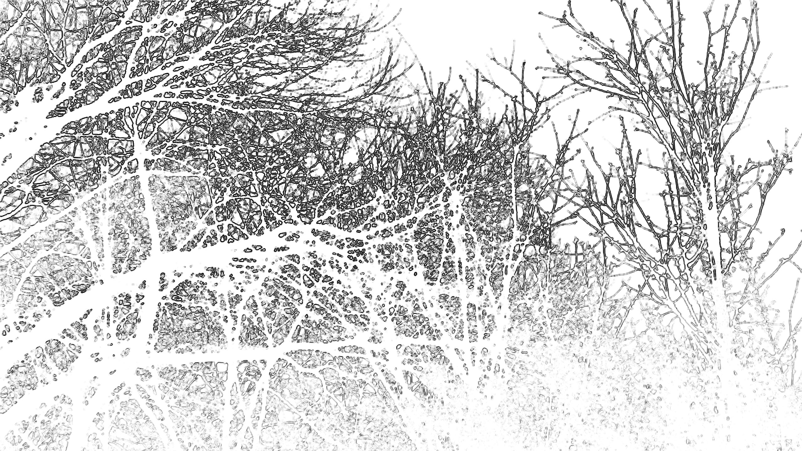 Lire la suite à propos de l’article UN AN DE HAIKU | en quête de la bonne couverture, 28 février 2026