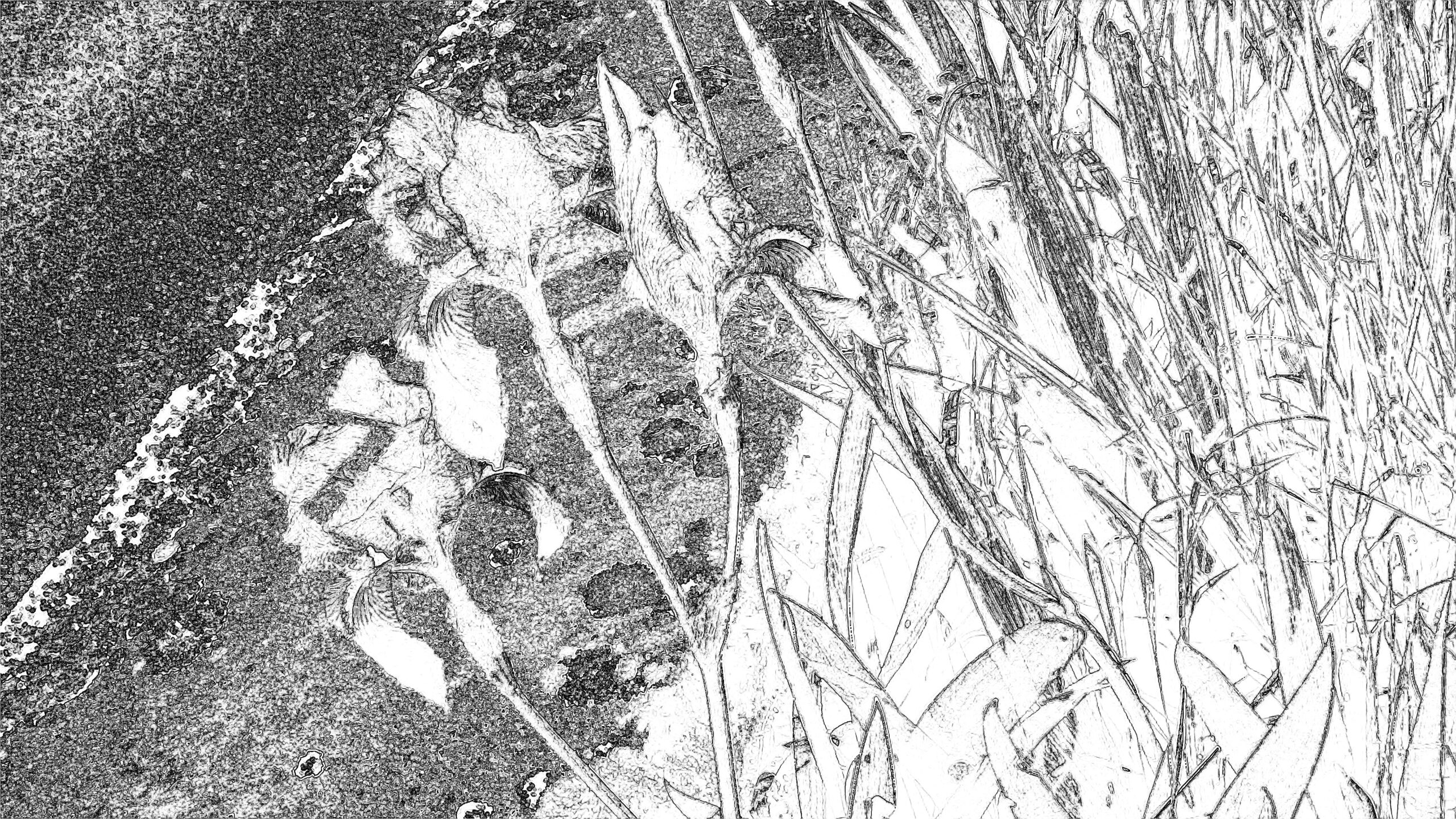 You are currently viewing UN AN DE HAÏKU : un nouvel opus dans la collection Petites Proses | sortie fin février 2026